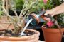 Afbeelding - https-www-ez-catalog-nl-Asset-178118e7a2bd4afcb299f395abe54e5c-ImageFullSize-04078500024181-C1N0-s05-jpg